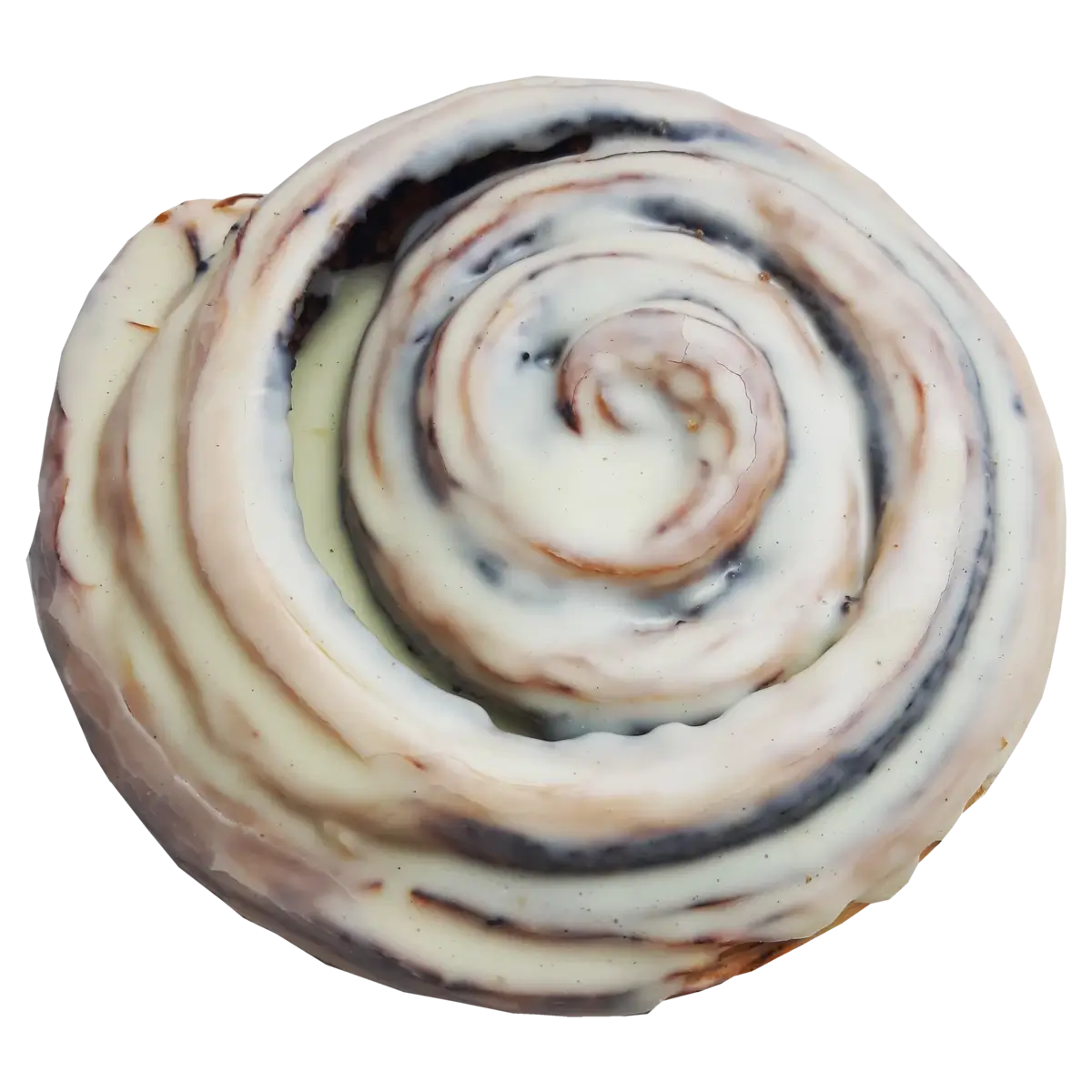 Fehér fincsi csiga - Image 2